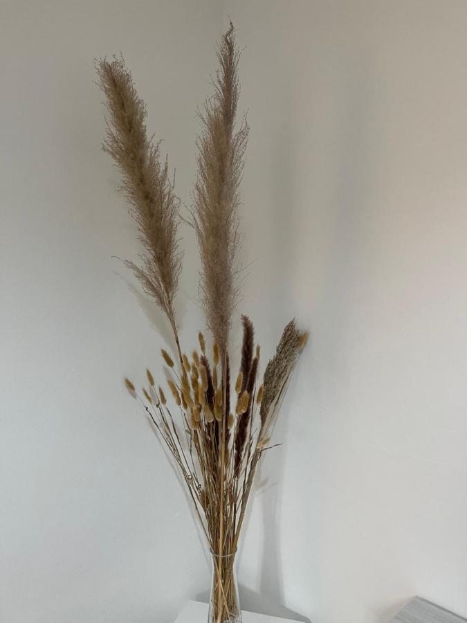 קאזלמג'ורה Castramajora Alloggi מראה חיצוני תמונה